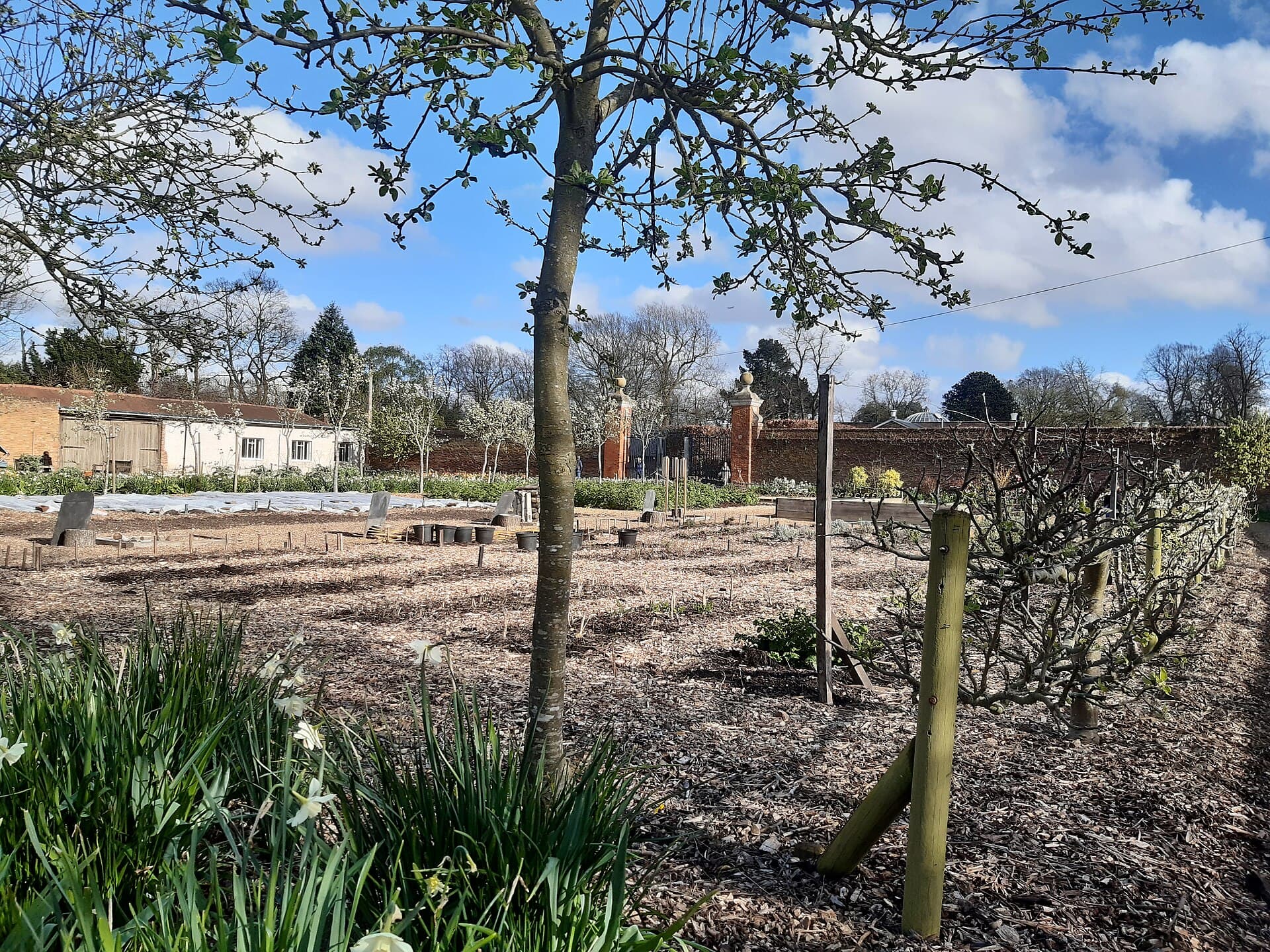 Vegetable beds inside a walled kitchen garden.