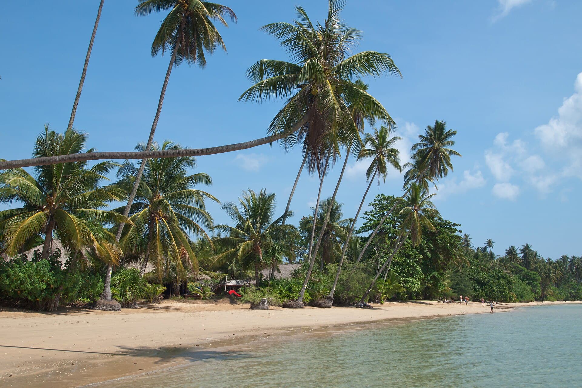 Palm trees and a tropical beach under bright sky.