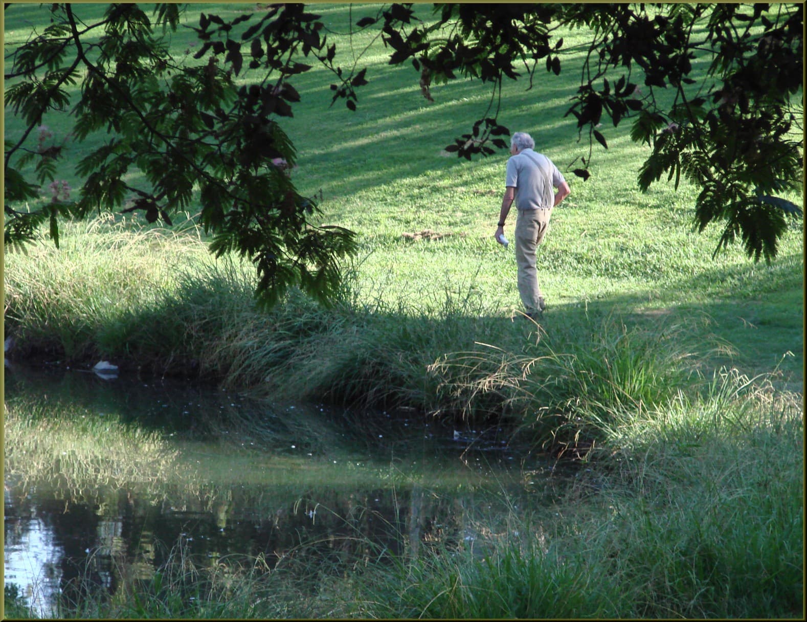 An older man walking along a shaded park path.