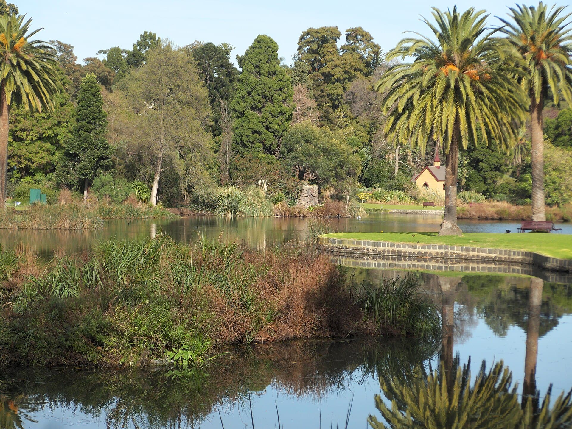 A still lake in the Royal Botanic Gardens, Melbourne.